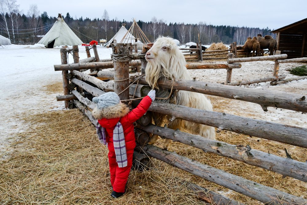 Photograph by Ирина Будагова