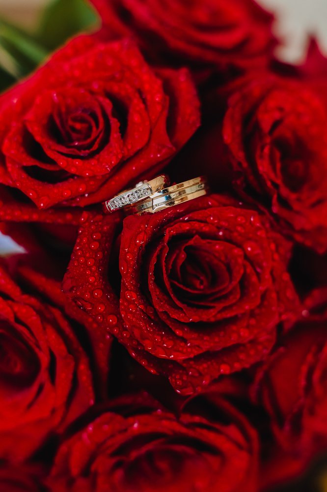 Фотография автора Анна Рыжкова