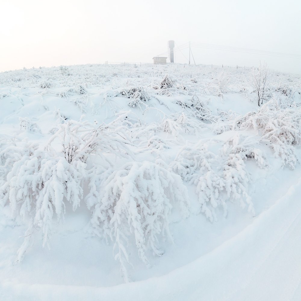 Фотография автора Панагушин Сергей