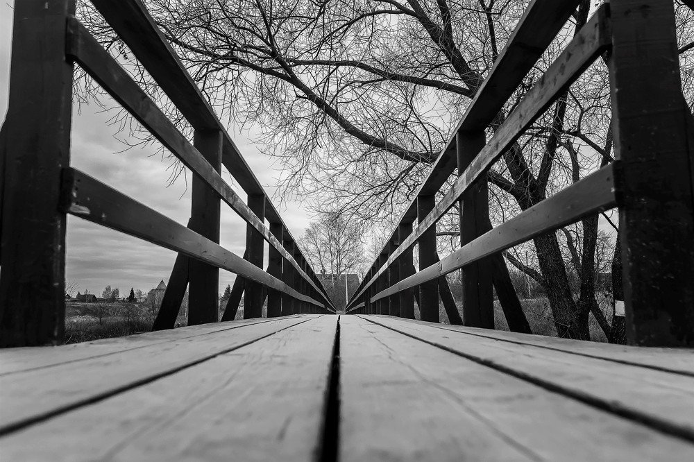 Photograph by Ирина Решетникова