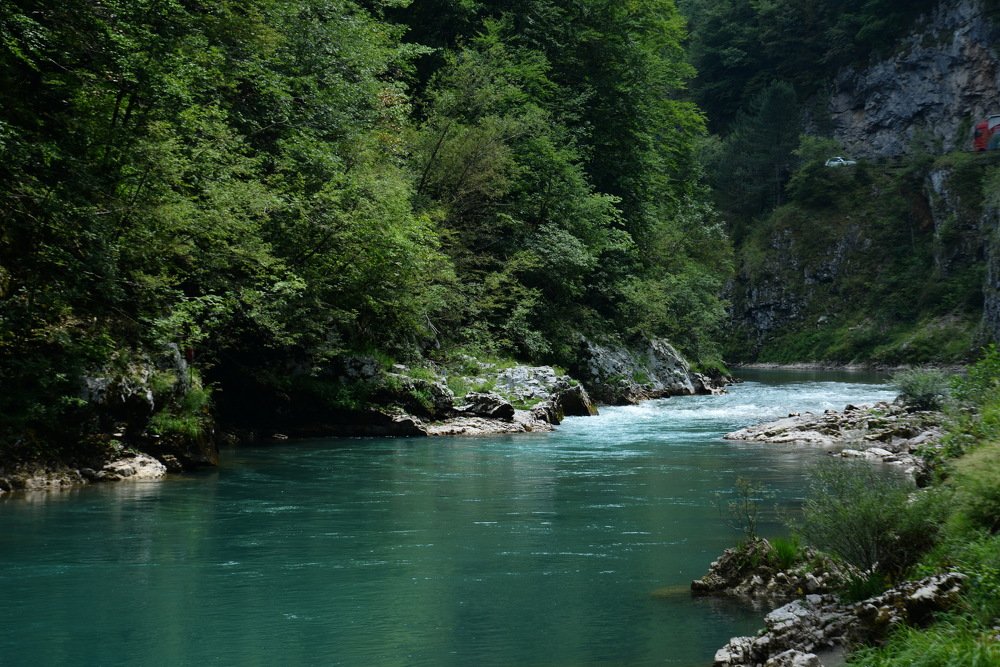 Photograph by Изабелла