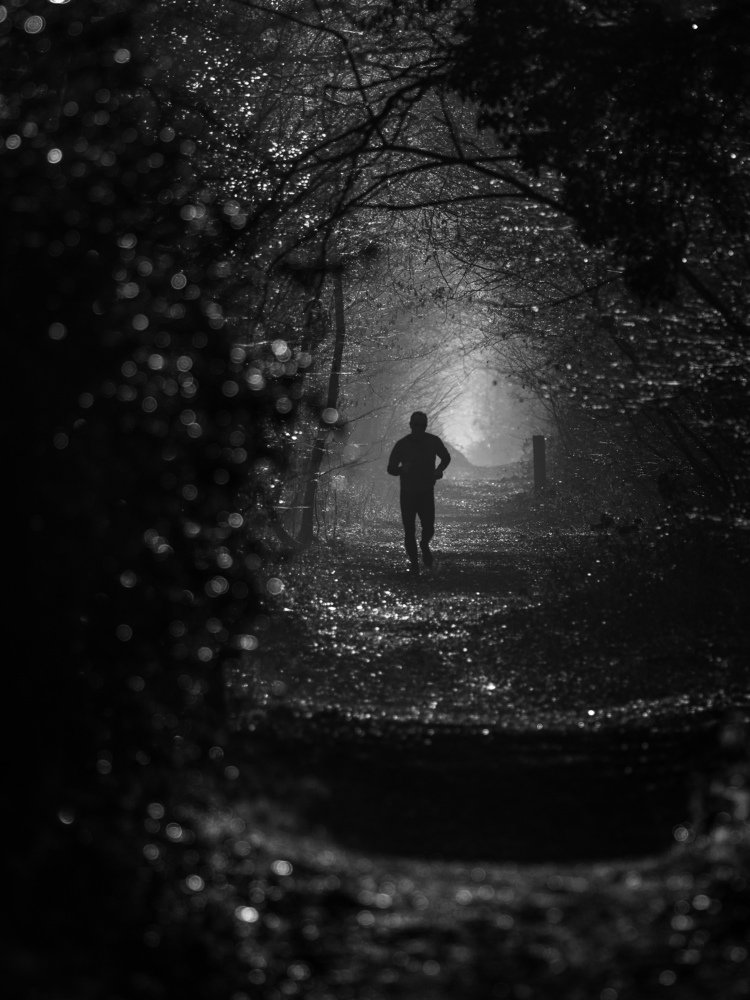 Photograph by Kowalski Tomasz