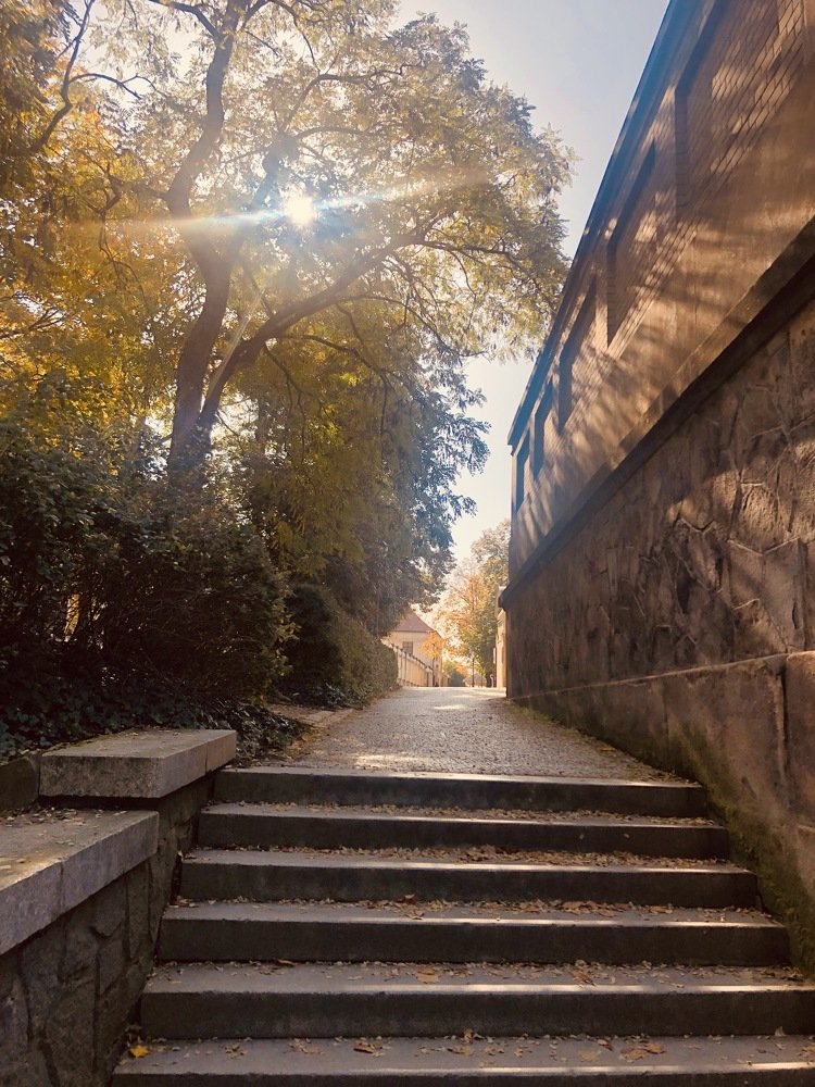 Фотография автора Наталья Хоруженко