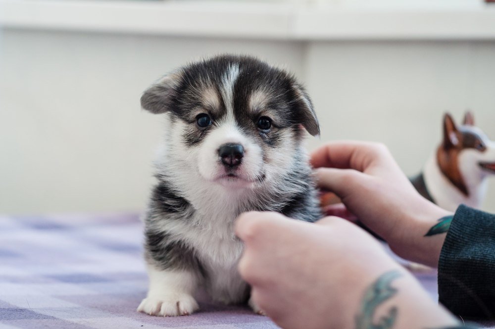 Photograph by Екатерина Гущина