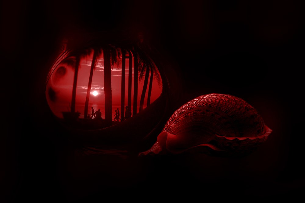 Photograph by Vy Van Bui