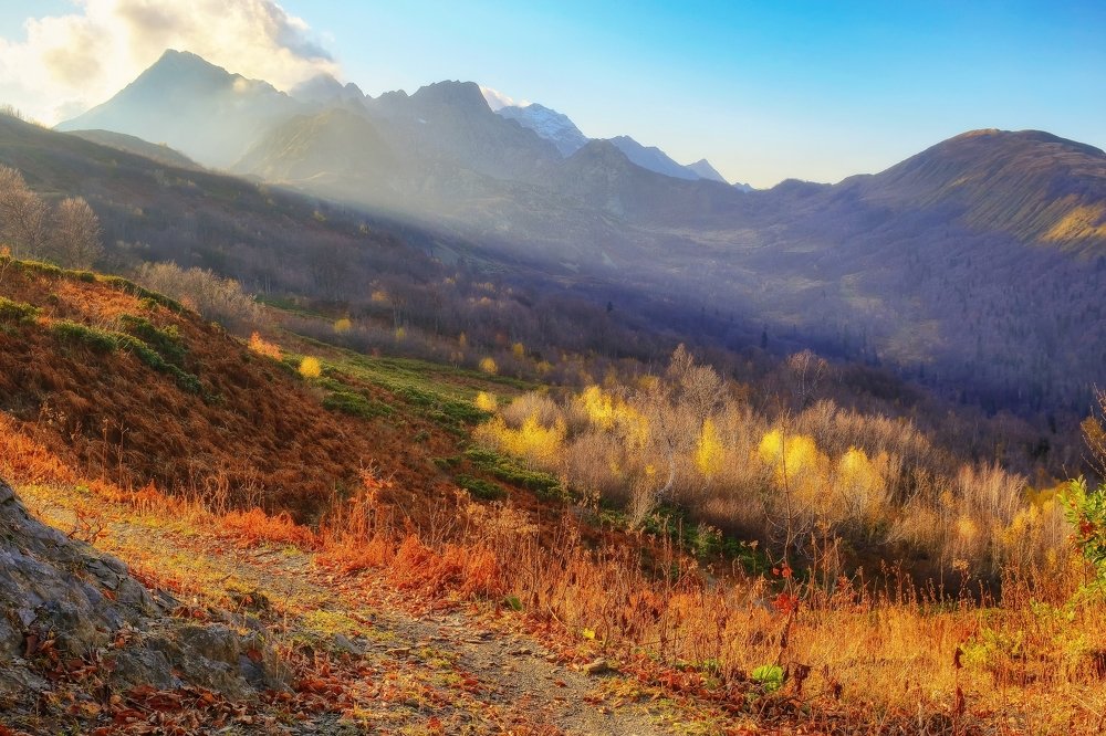 Последний аккорд