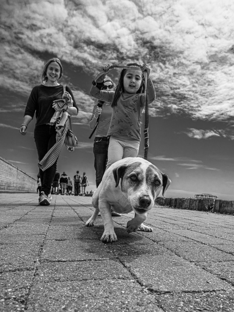 Photograph by Kowalski Tomasz