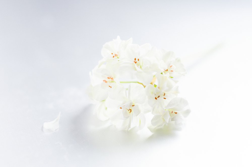 Photograph by Ленар Карим