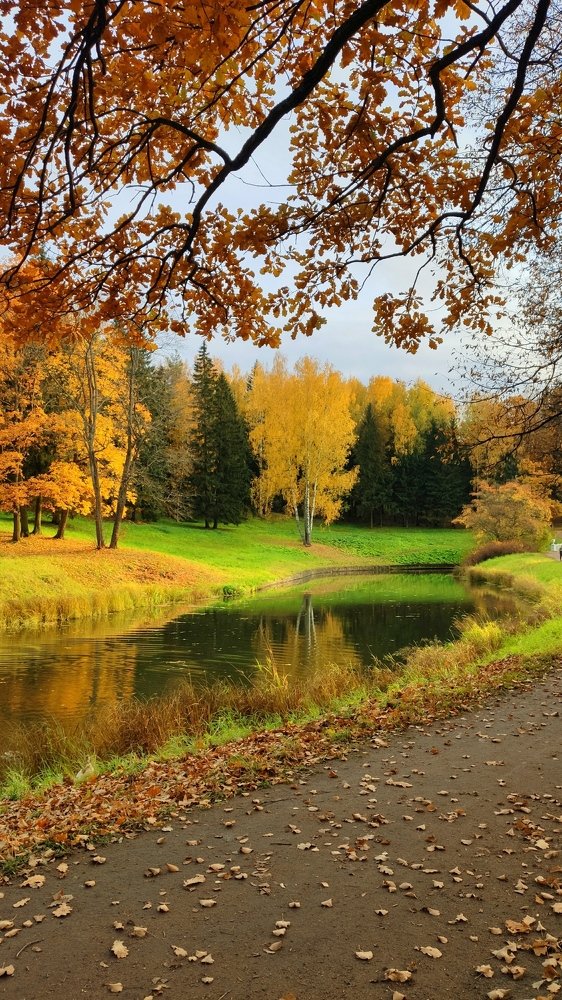Photograph by Лукина Наталья