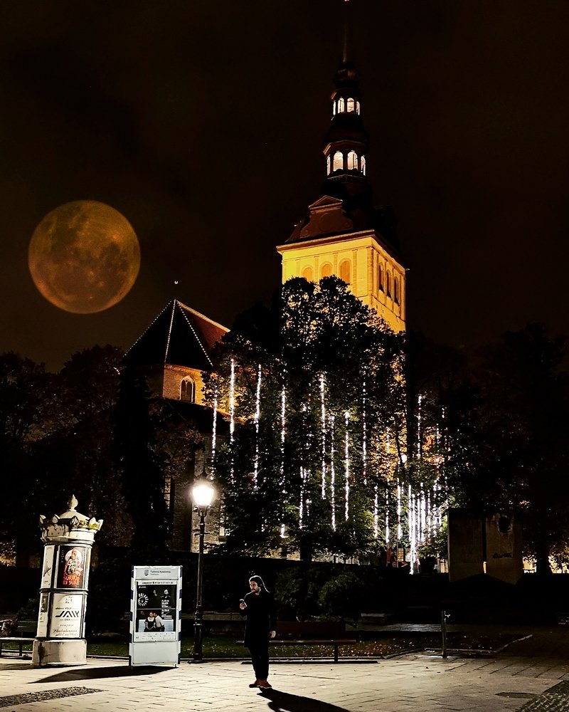 Photograph by Виктория