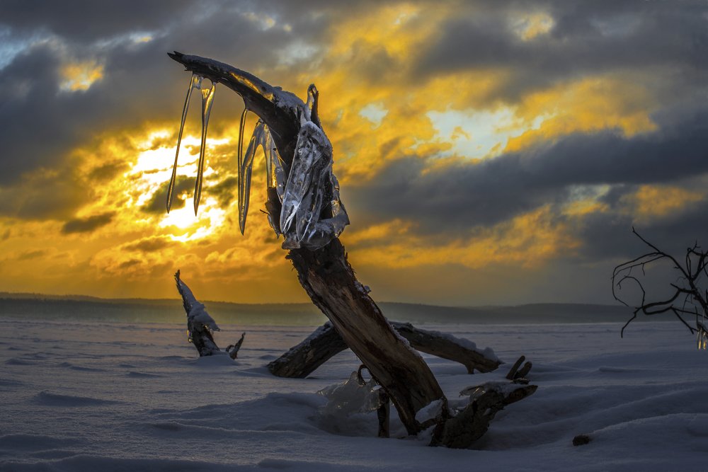Зов предков