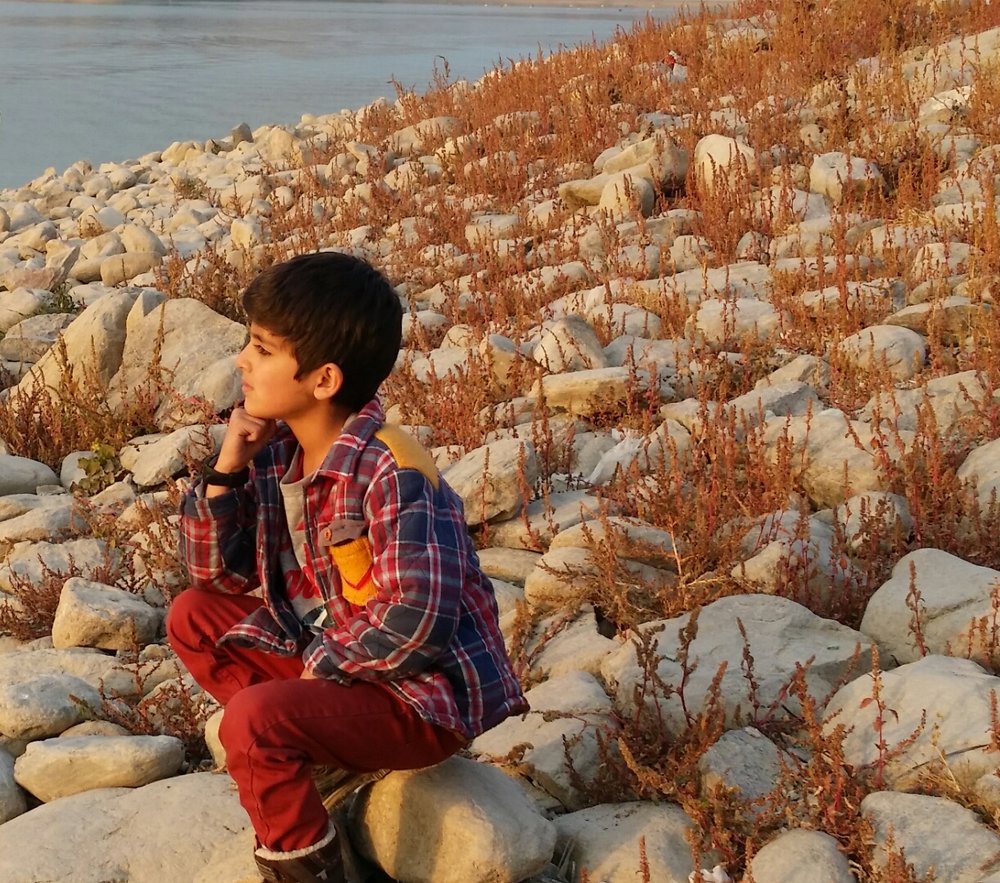 Photo #3729279