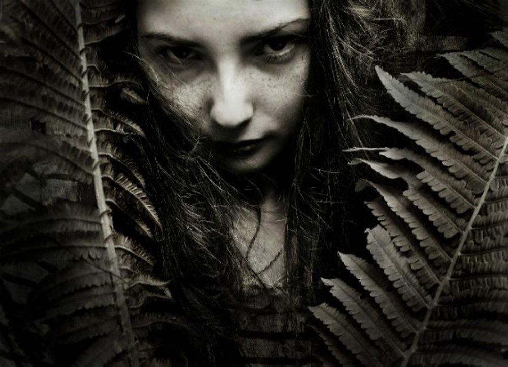 Photograph by Yana Prihodko