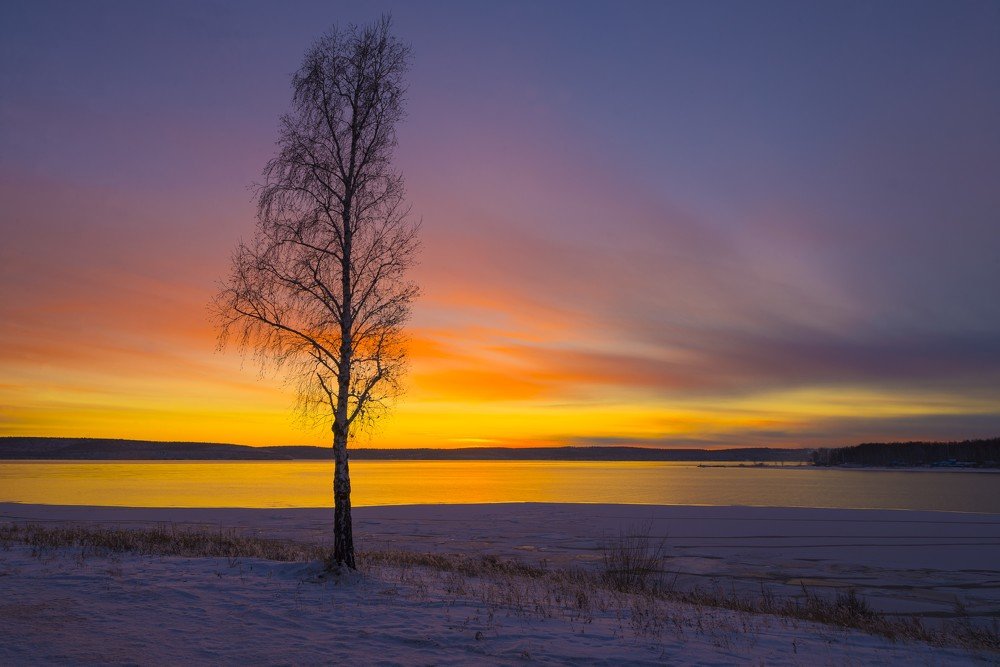 Сиротинушка