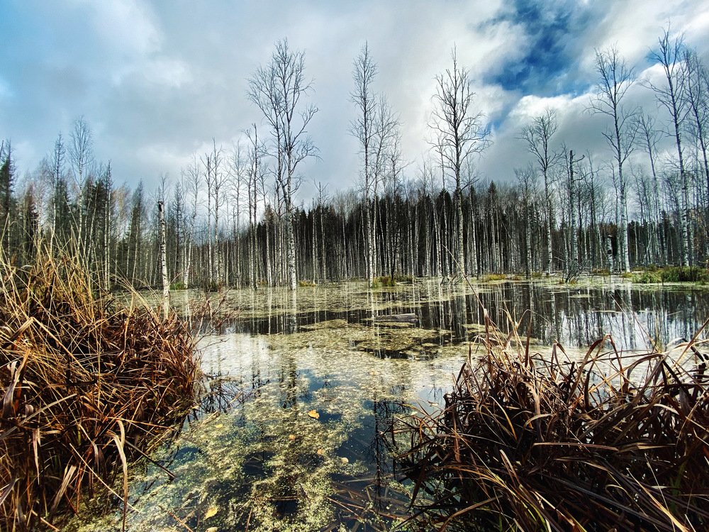 Photograph by Станислав Аникин