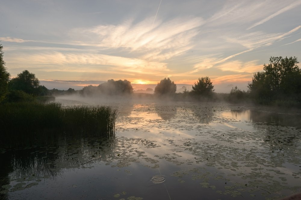 Photograph by Юлия Лаптева