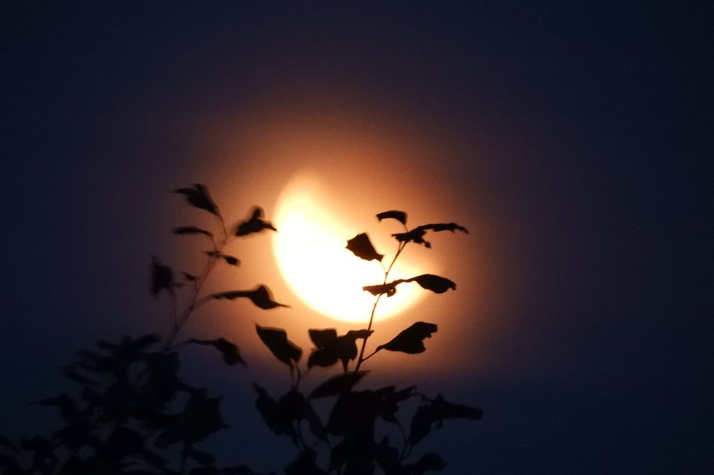 Photograph by Роза Беденок