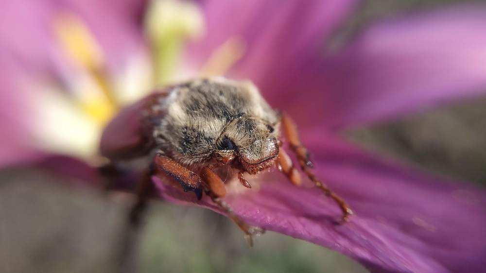 Photograph by Константин Афонин