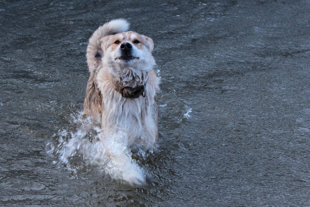 Photograph by Александр Велигура