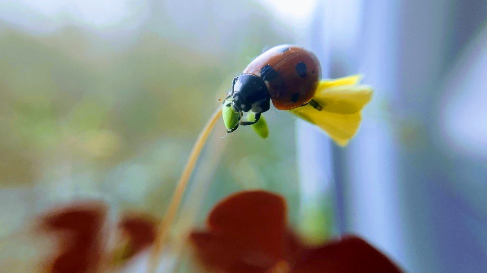 Photograph by Константин Афонин