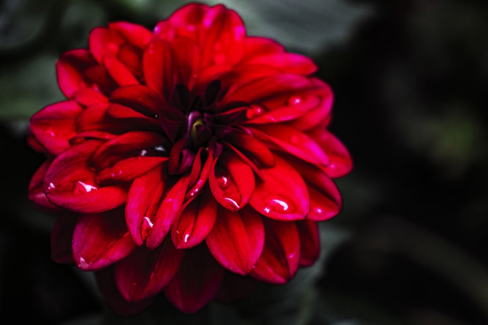 Photograph by Татьяна Бондар