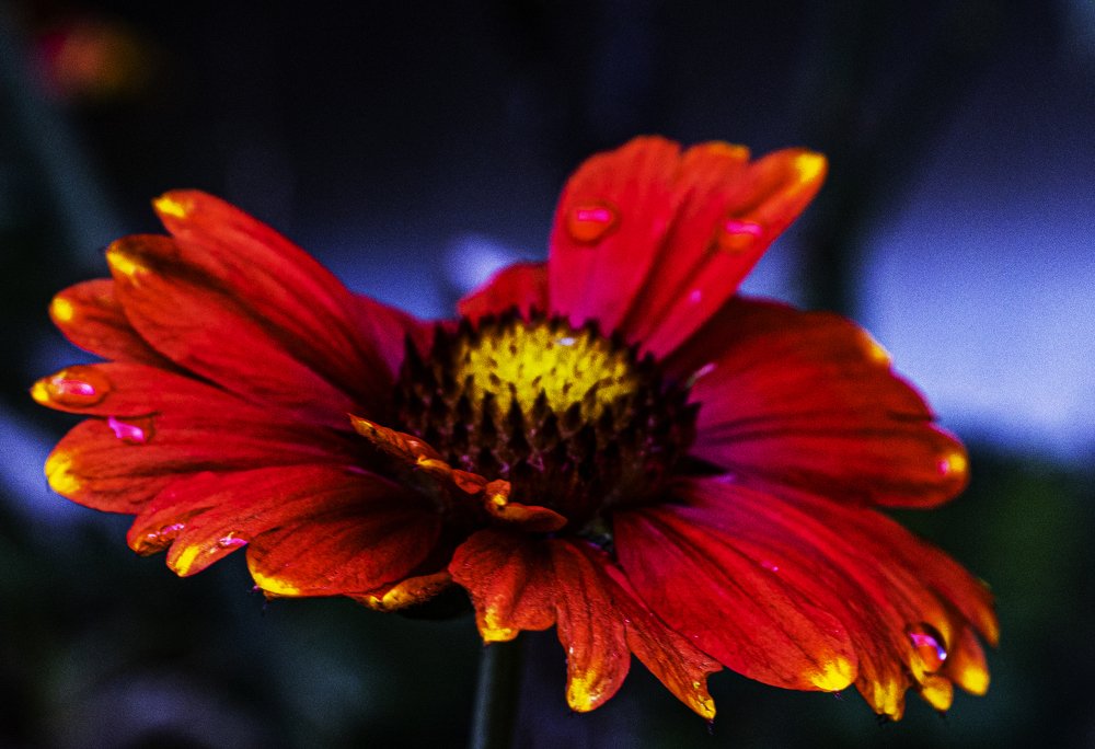 Photograph by Татьяна Бондар