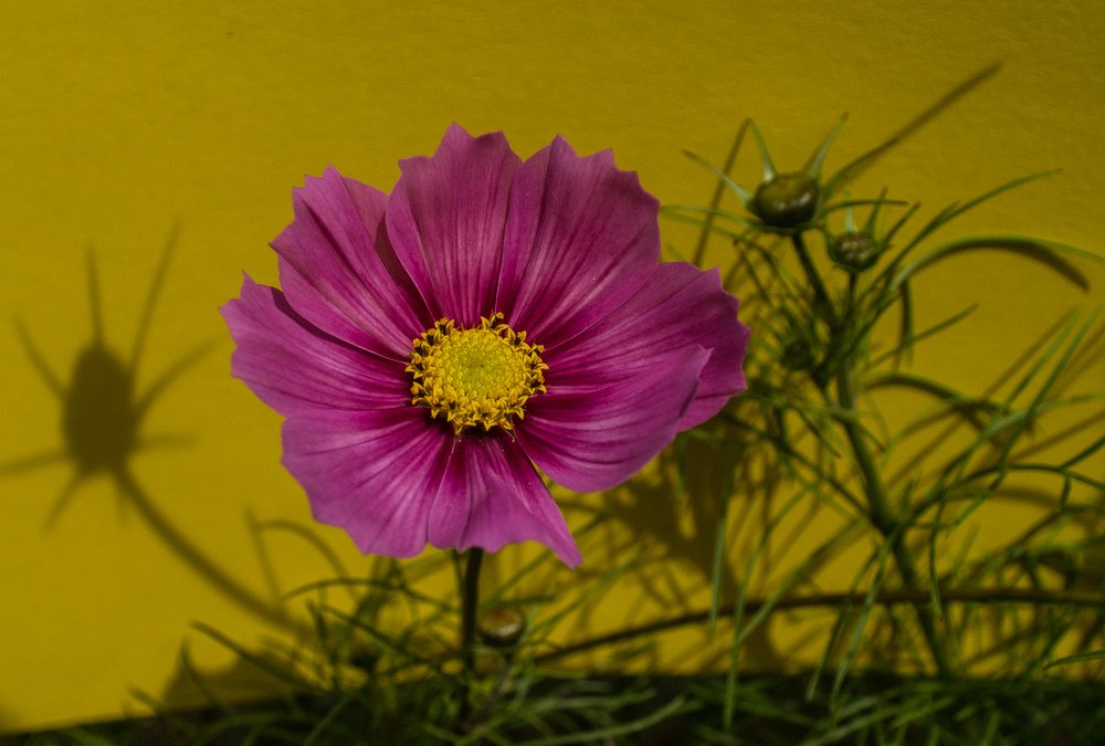 Photograph by алексей