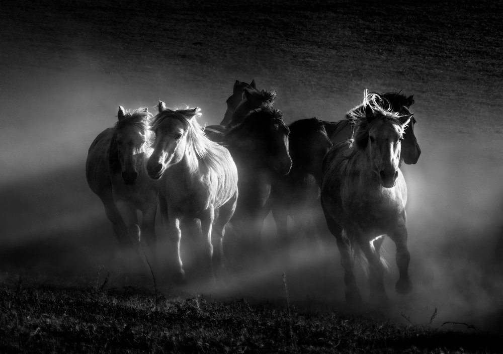 Photograph by Kok Tien Sang