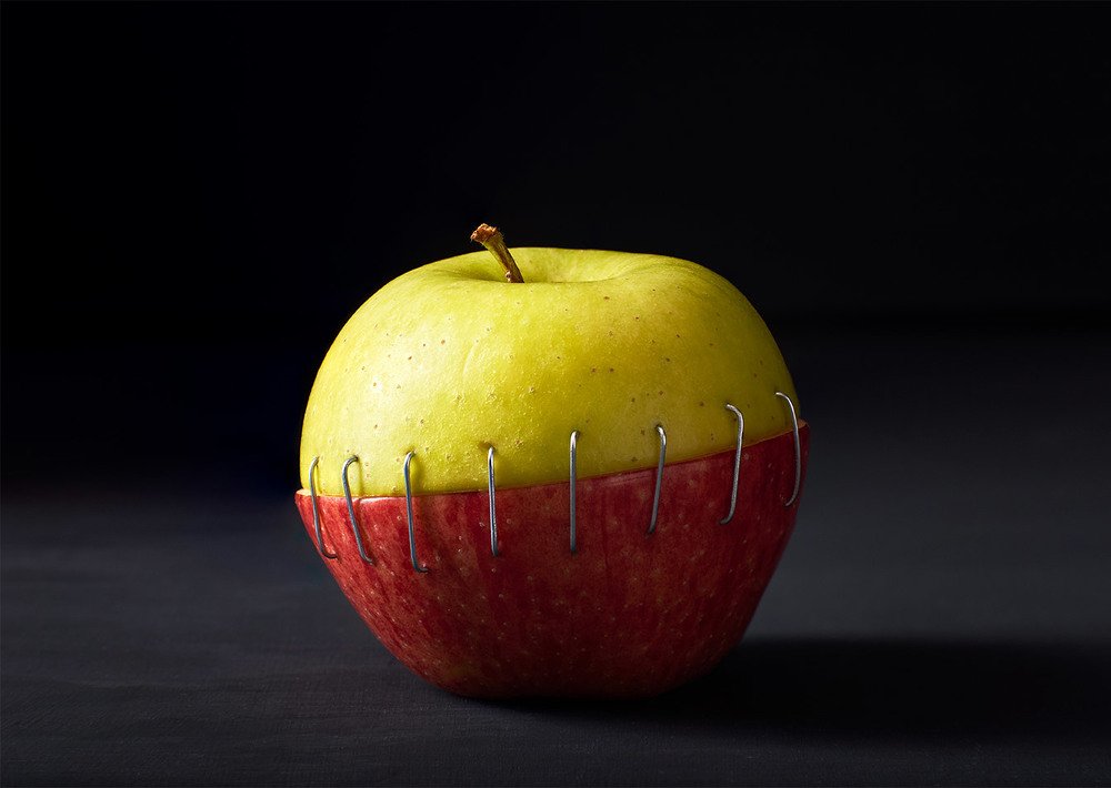 Photograph by Hamid Rastin