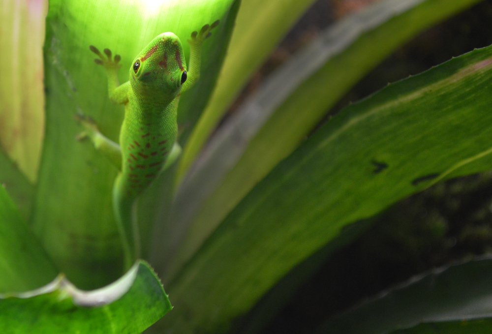 Photograph by Galina Cherentsova