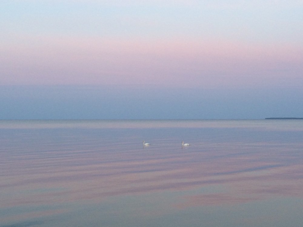 Photograph by Елена Шафикова