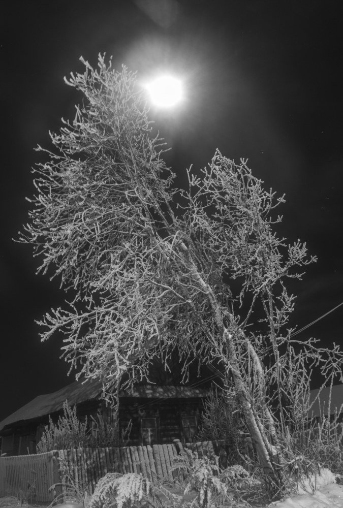 Photograph by Алексей Сыров