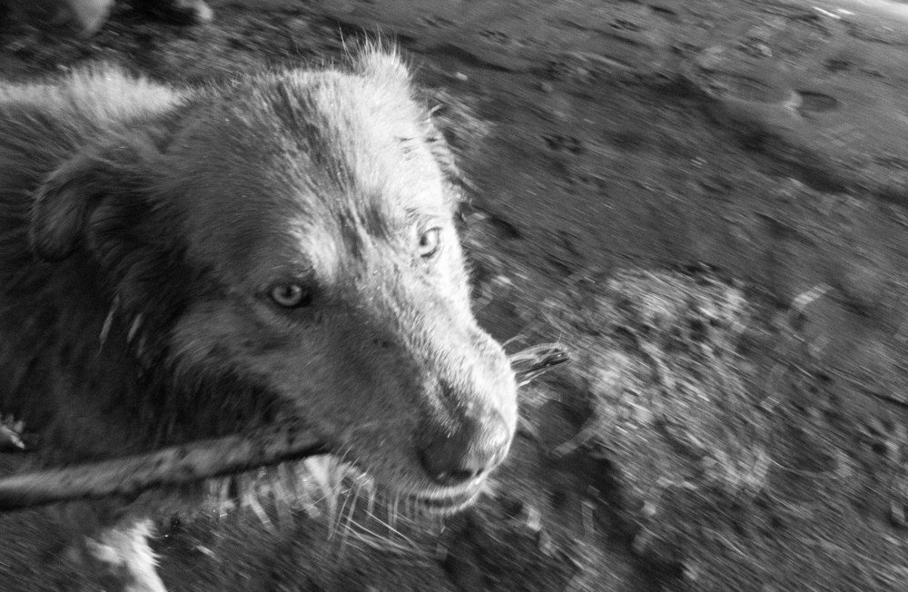 Photograph by Алексей Сыров