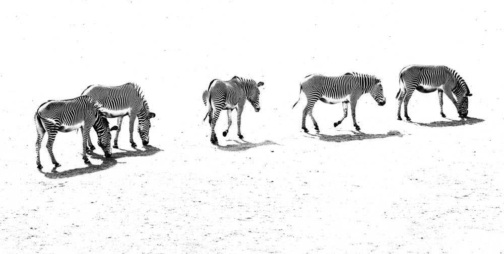 Photograph by Ашот Григорян