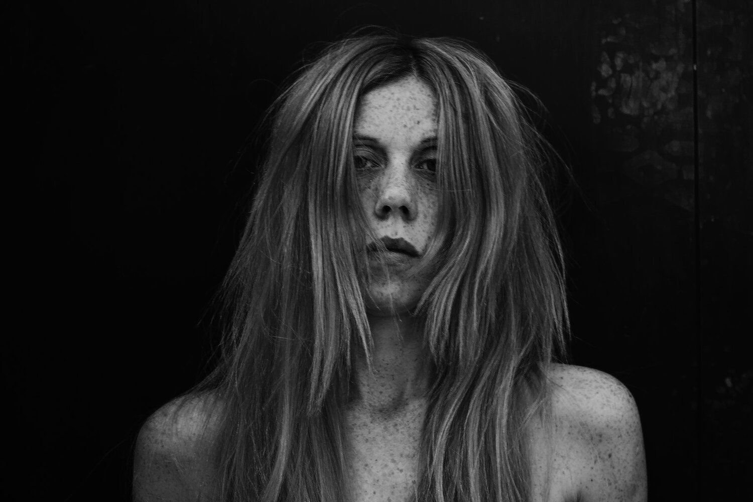 Photo #3729837