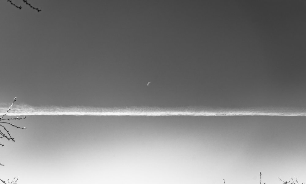 Photograph by Анна Авдеева