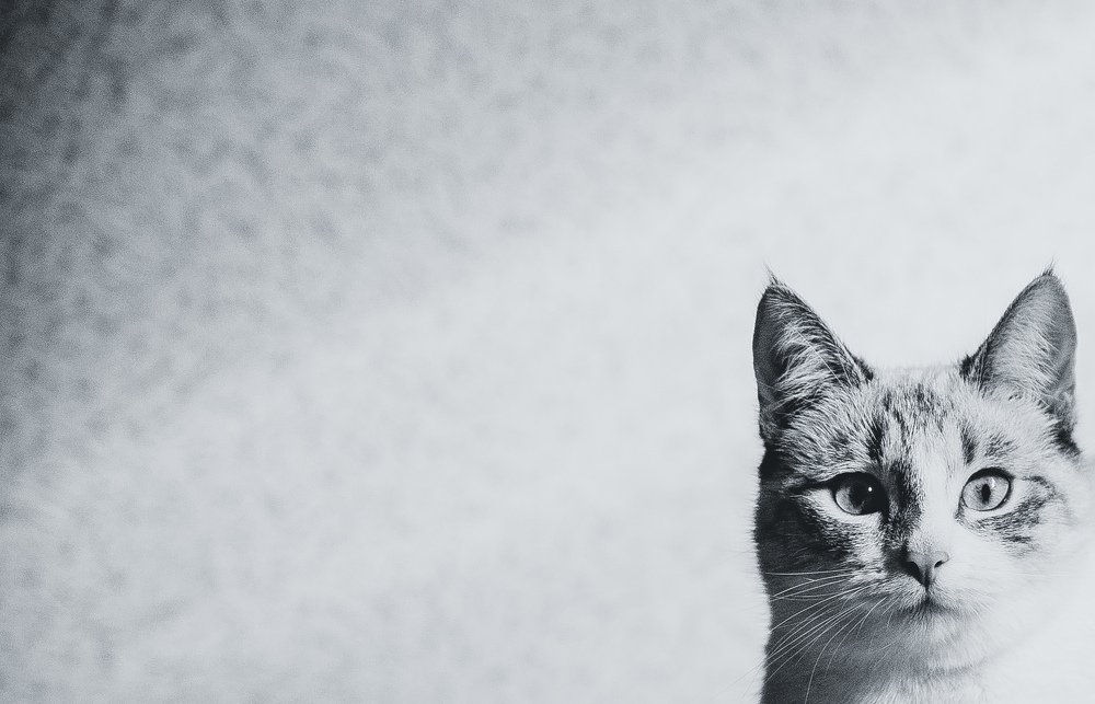 Photograph by Анна Авдеева