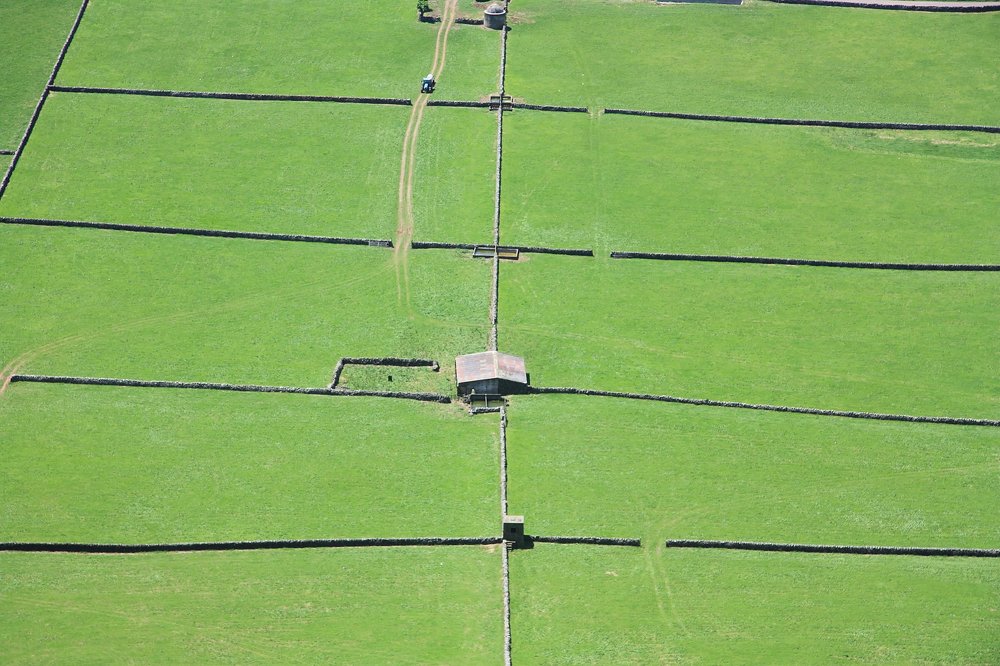 Photograph by Людмила Травина