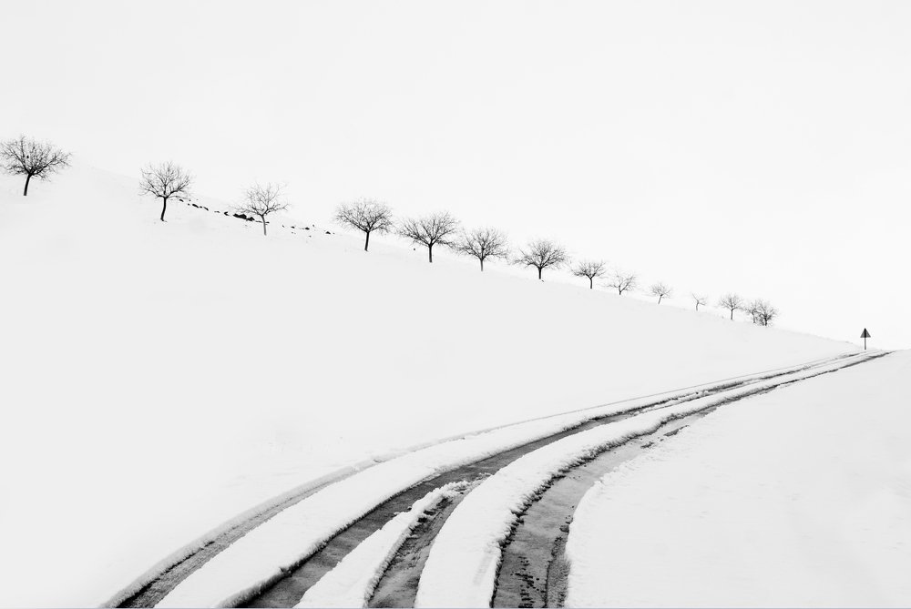 Photograph by Elham parsayeganeh