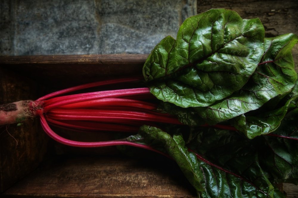 Photograph by Анжелика Сидорова