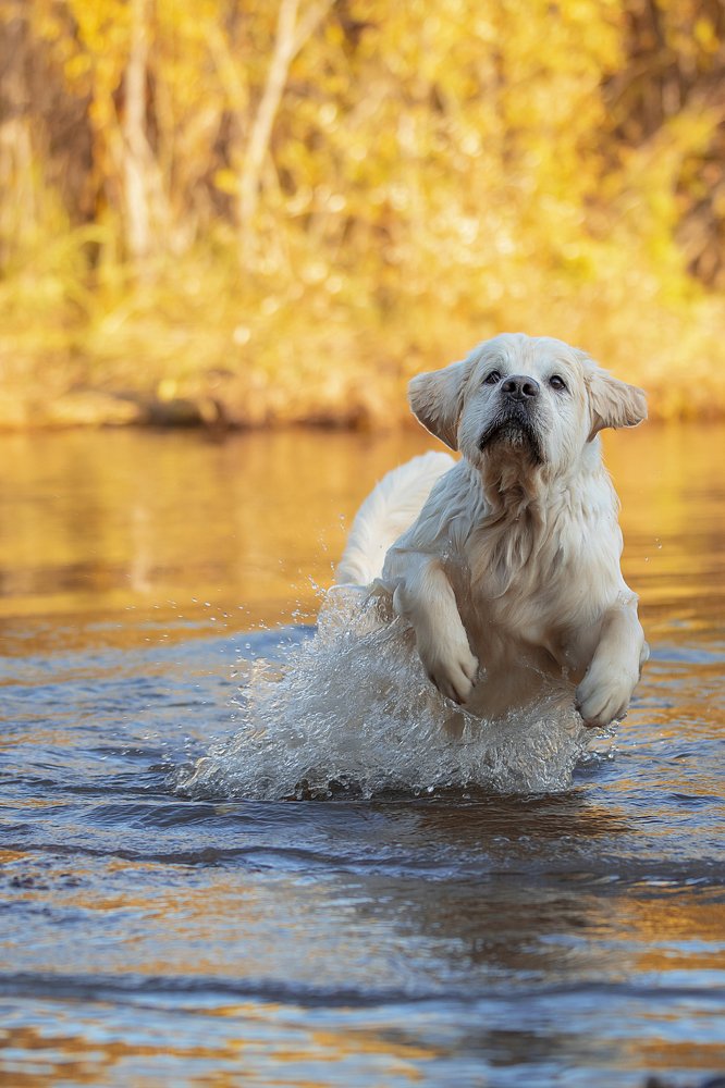 Photograph by OLGA KOVALENKO