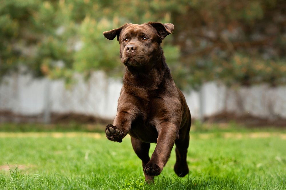 Photograph by OLGA KOVALENKO