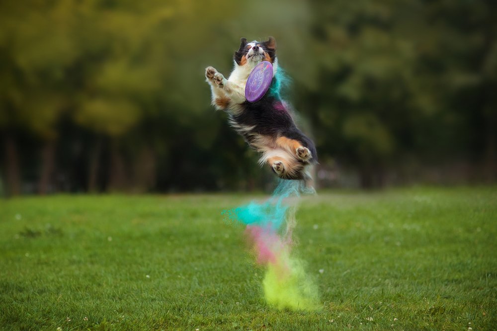 Photograph by OLGA KOVALENKO