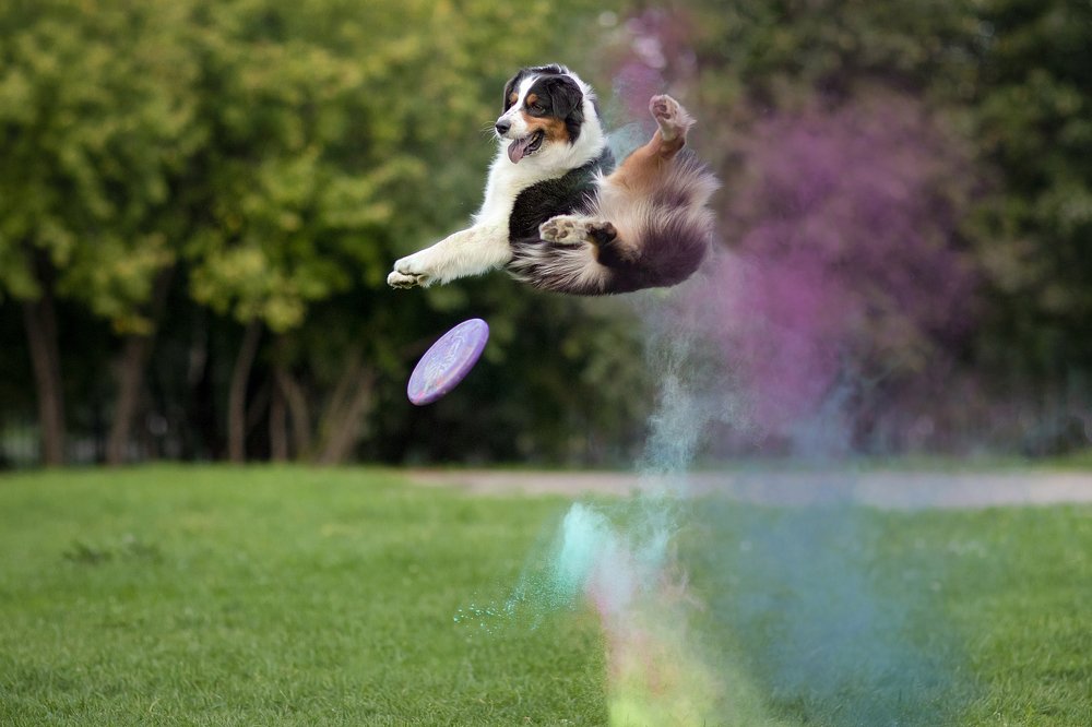 Photograph by OLGA KOVALENKO