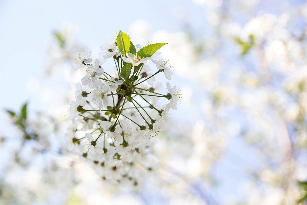 Photograph by Ирина Решетникова