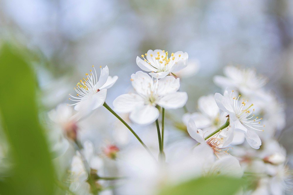 Photograph by Ирина Решетникова