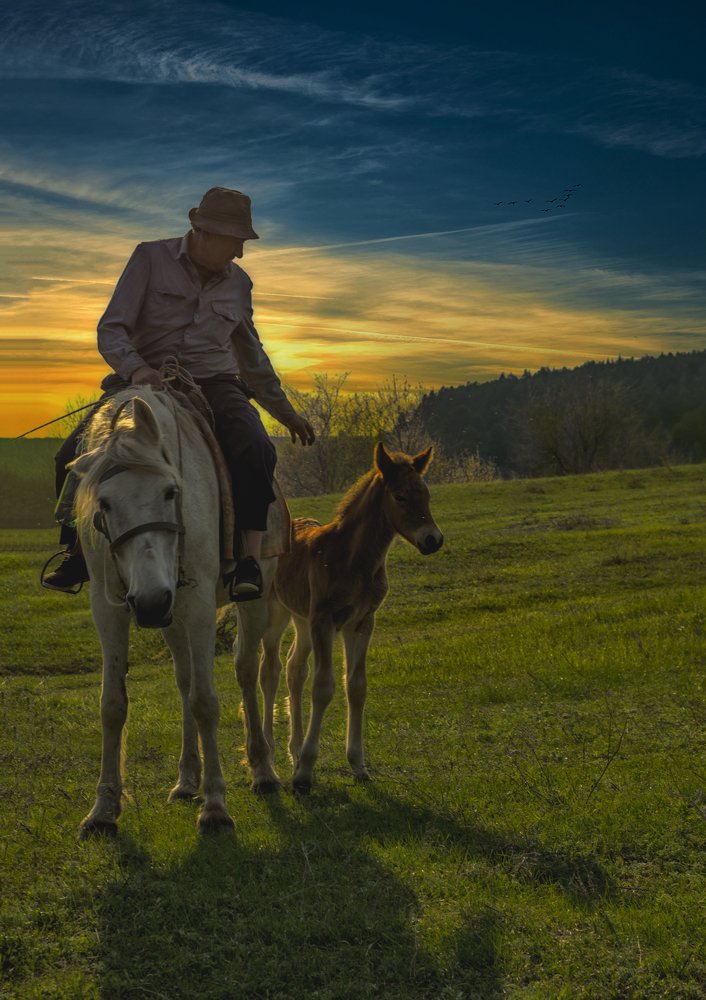 Фотография автора Екатерина Вострикова