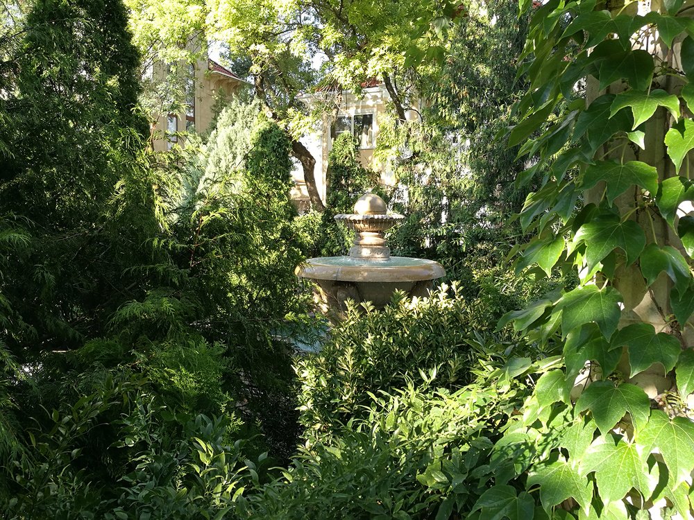 Зеленый парк