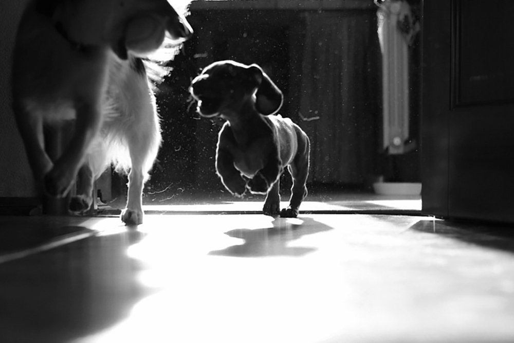 Photograph by Полина