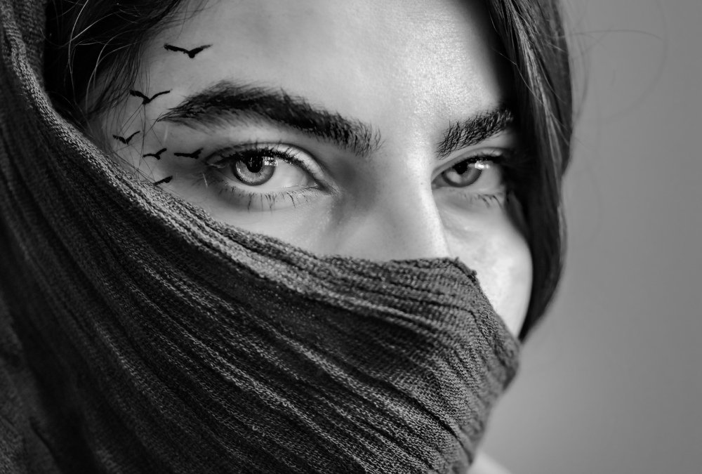 Фотография автора ziba alirezaei58